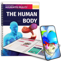 The Human Body
