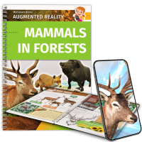 Mammals in Forests