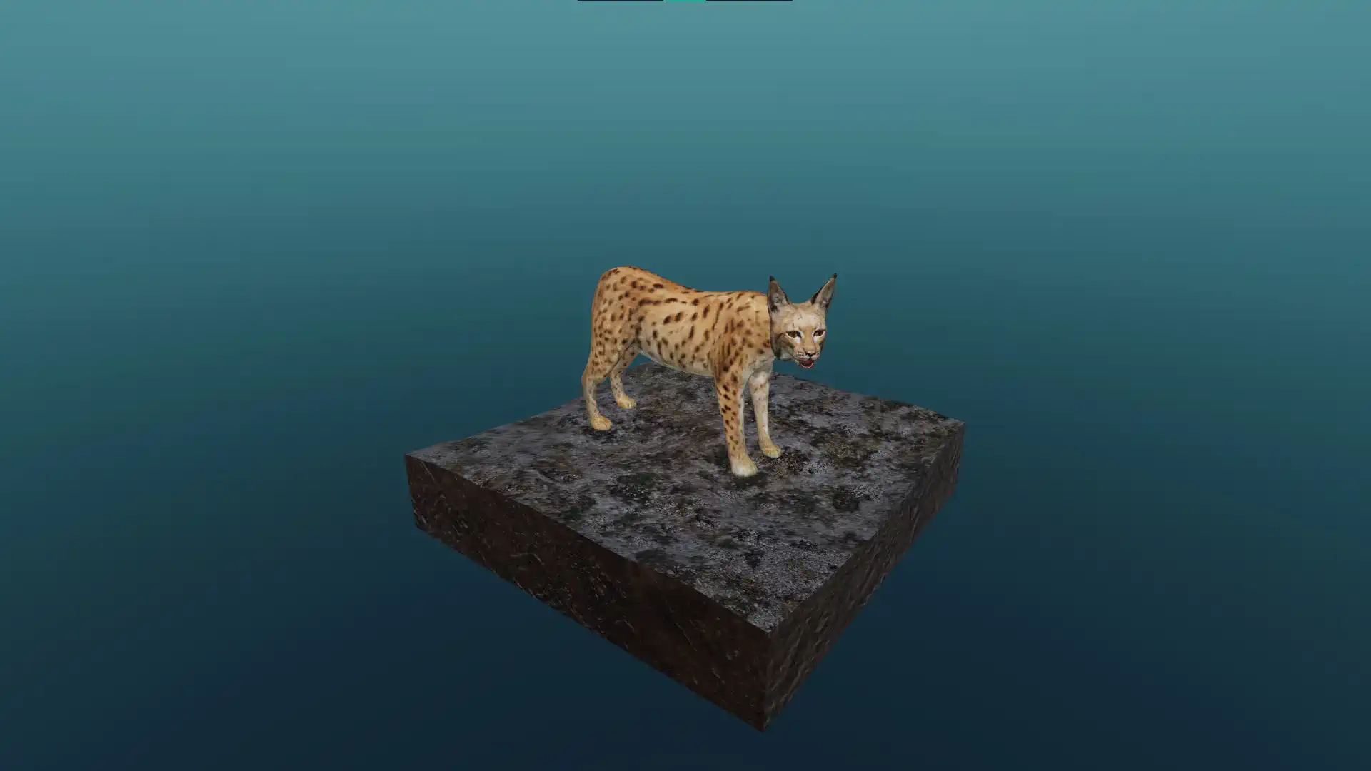 The lynx