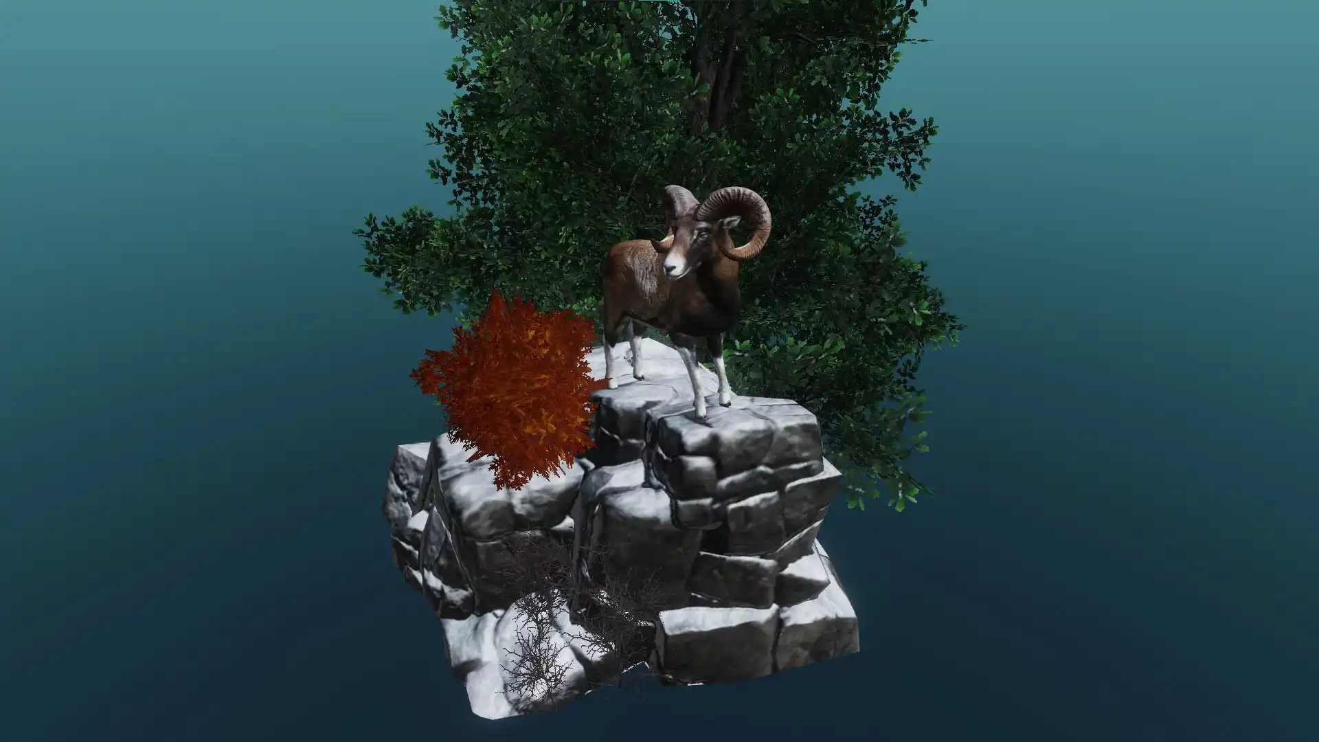 The mouflon
