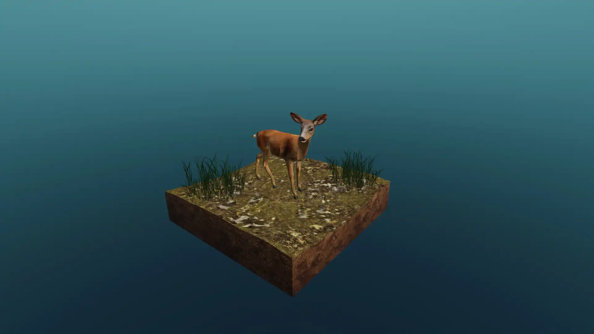 The European roe deer