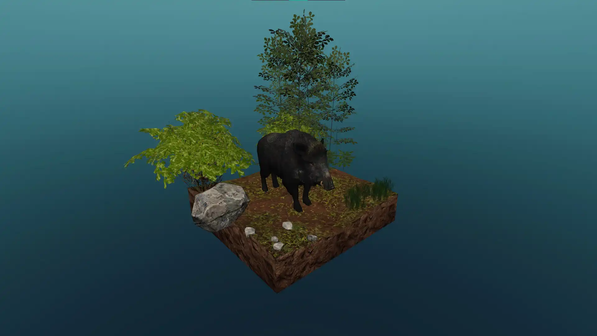The wild boar