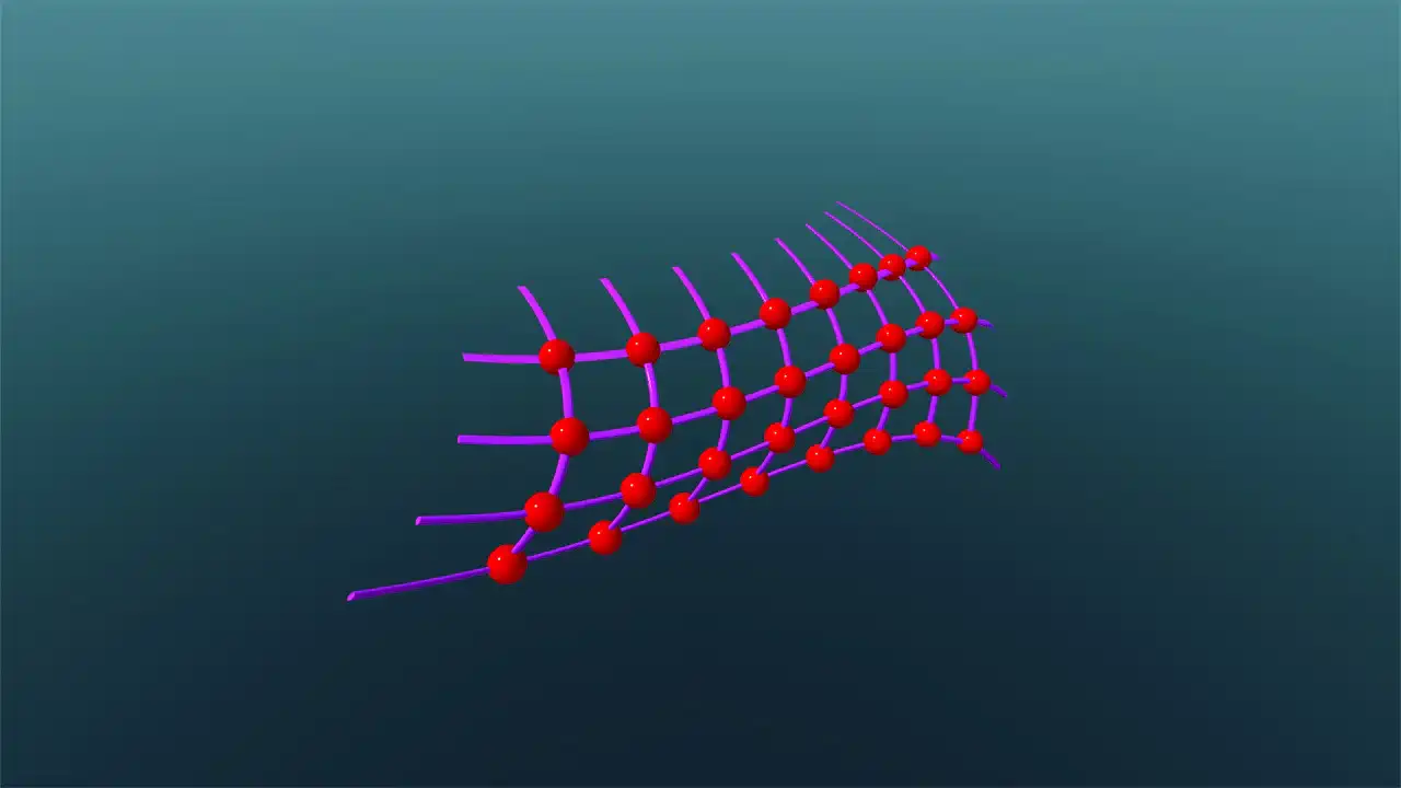 Polymer Gels